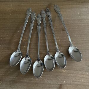 6 Ice Teaspoons CAROLINA BANBURY Oneida Northland Floral Vintage Stainless Set